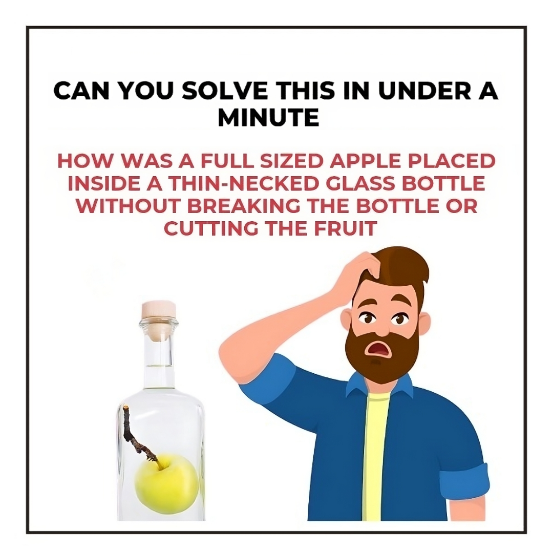 Apple In Bottle Brain Teaser