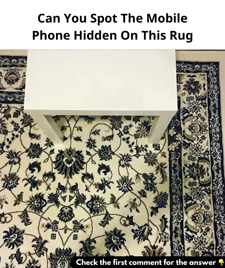 Can You Spot The Mobile Phone Hidden On This Rug…