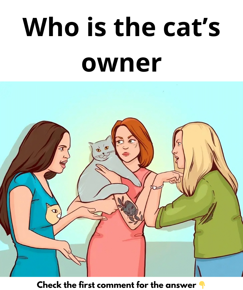 Who is the cat’s owner