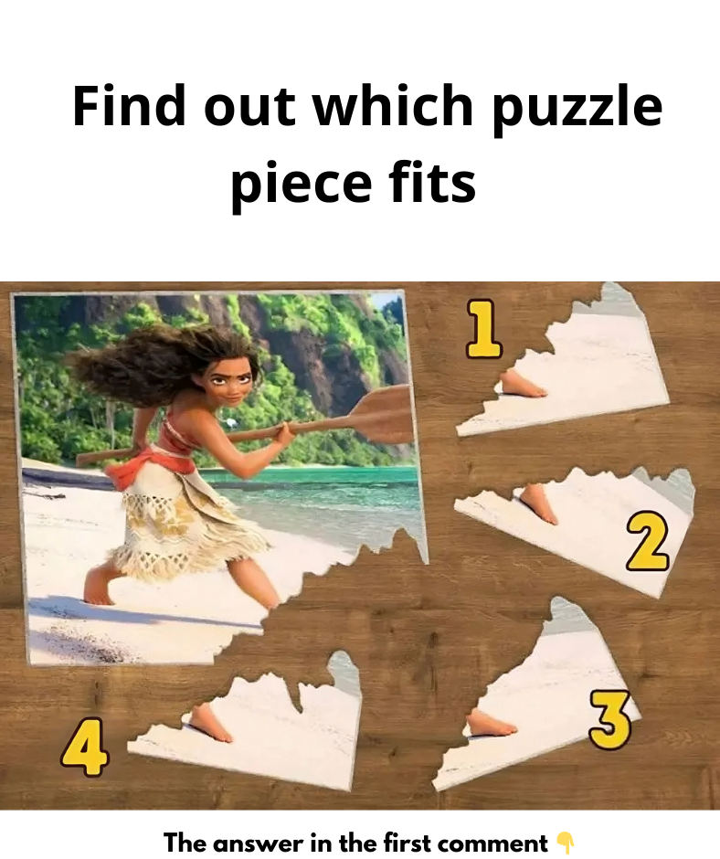 Someone tore a corner of the picture. Find the right piece