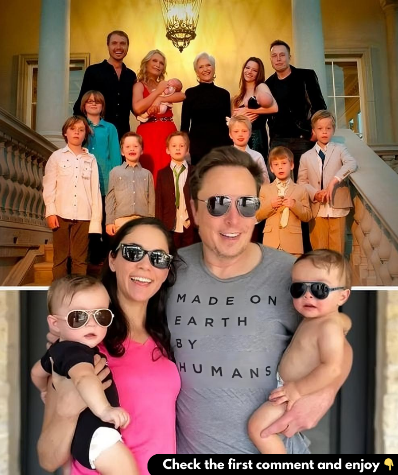 Elon Musk is a father of 11 children. Now he has aninteresting new plan for all of them.