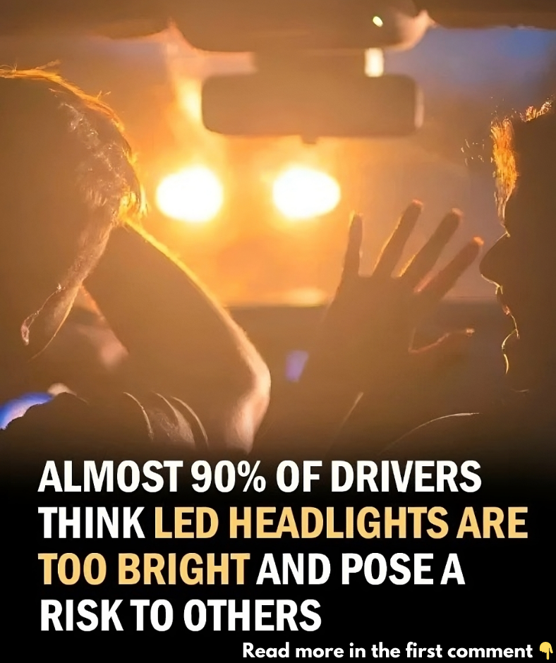 The Majority of Drivers Think LED Headlights Are Too Bright