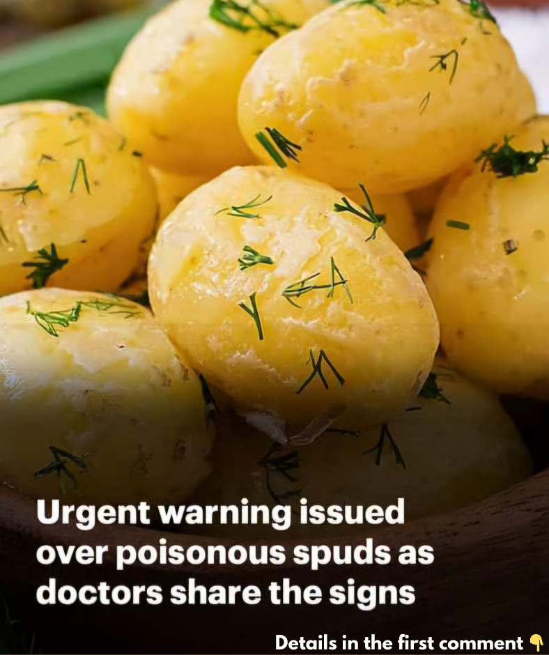 Health Professionals Warn About The Subtle Signs Your Potatoes Could Be Poisonous