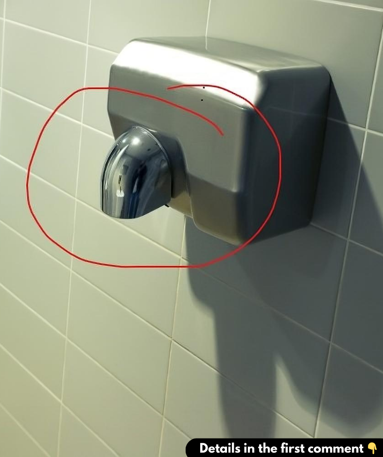 The Bacterial “Party” Behind Hand Dryers In Public Bathrooms