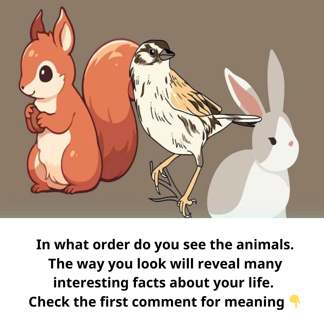 In what order do you see the animals. The way you look will reveal many interesting facts about your life.