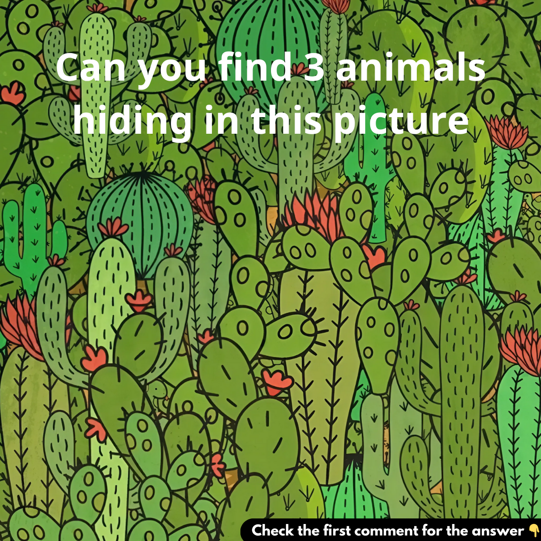 Can you find 3 animals hiding in this picture