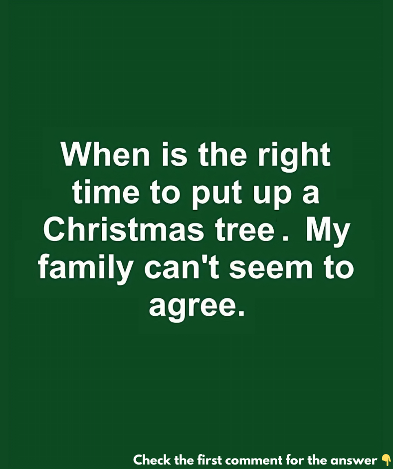 When is the right time to put up a Christmas tree. My family can’t seem to agree.