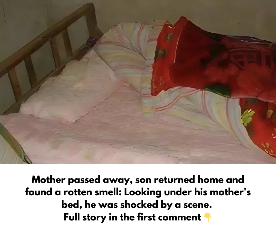 Mother passed away, son returned home and found a rotten smell: Looking under his mother’s bed, he was shocked by a scene