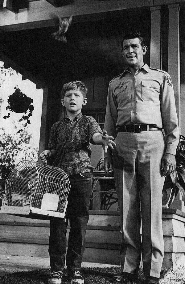 Opie the Birdman: A Touching Lesson in Responsibility and Compassion from The Andy Griffith Show