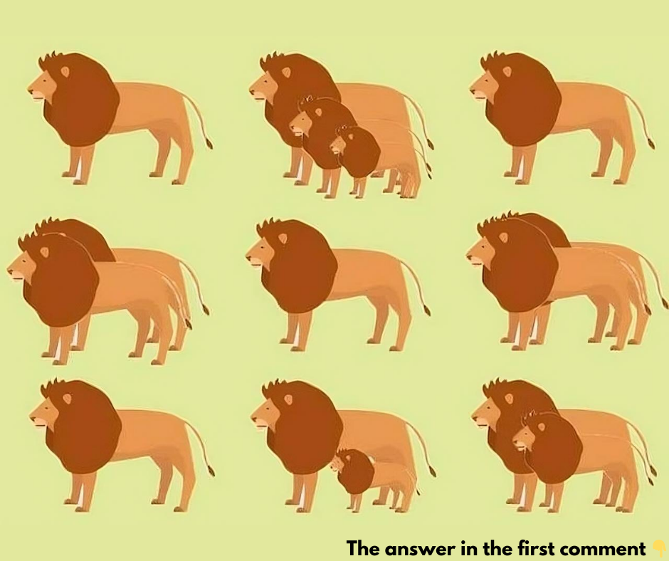 Do you think you can count all the lions in this image