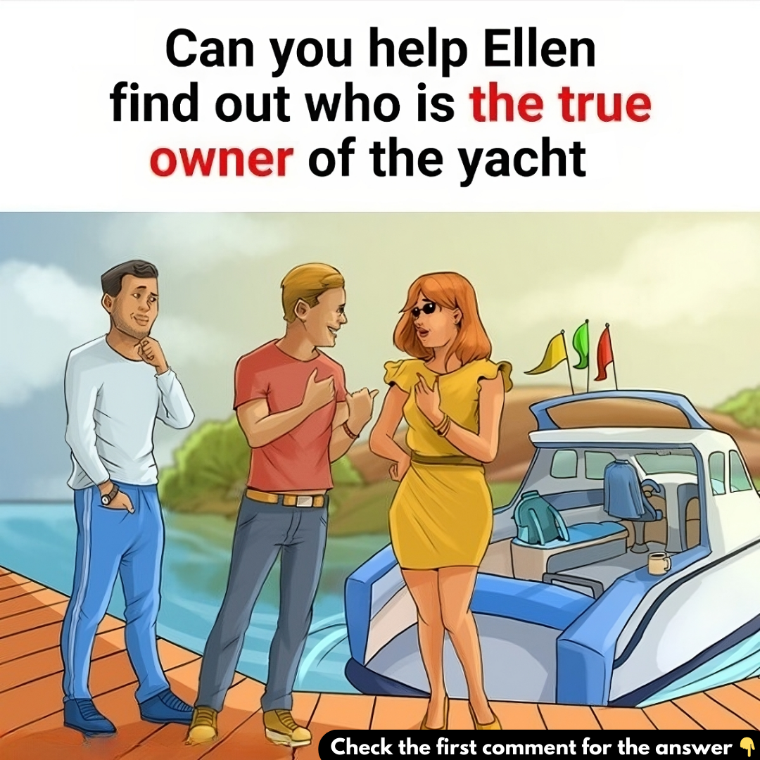 Can you help Ellen find out who is the true owner of the yacht