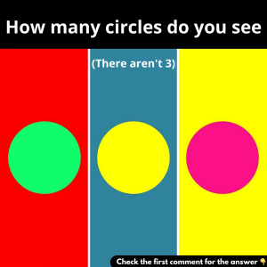 How many circles do you see (There aren’t 3)