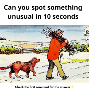 Can you spot something unusual in 10 seconds