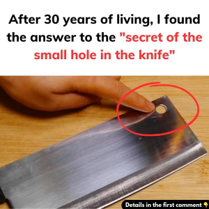 Secret of the small hole in the knife