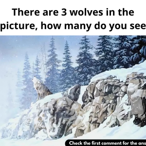 There are 3 wolves in the picture, how many do you see