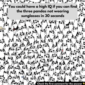 Find the three pandas without sunglasses