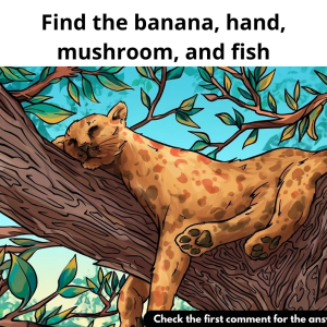 Find the banana, hand, mushroom, and fish.