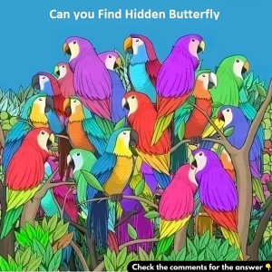 Find hidden butterfly in this beautiful picture