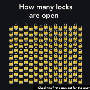 How many locks are open in this picture