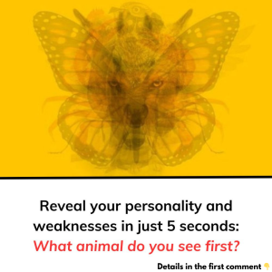 This personality test might be the answer you’ve been searching for to discover your true self