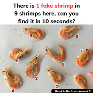 There is 1 Fake Shrimp in 9 Shrimps Here, Can You Find It in 10 Seconds