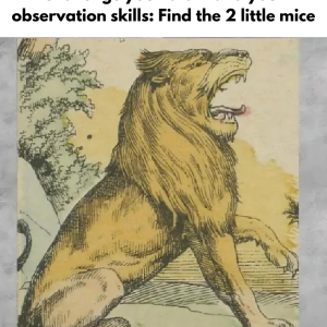 Challenge your brain and your observation skills: Find the 2 little mice.