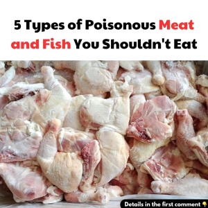 5 Types of Poisonous Meat and Fish You Shouldn’t Eat