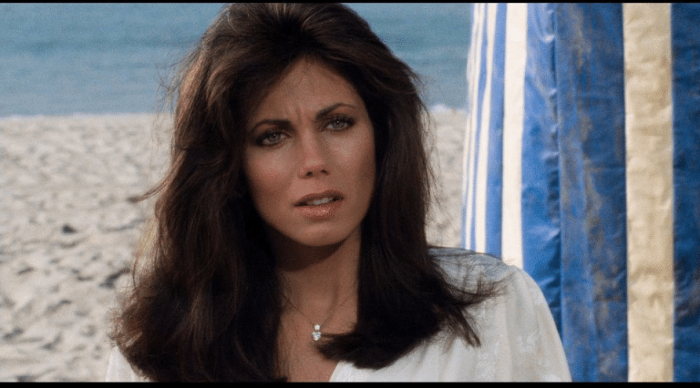 Deborah Shelton: A Deep Dive into Her Iconic Role in “Dallas” – Fact