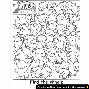 Only 1% of People Can Find the Whale in This Picture – Can You? Get the Answer and Explanation Inside!