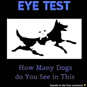 Can You Find All the Dogs in This Optical Illusion? The Number You Spot Reveals Your Mental Age – Try It Today!