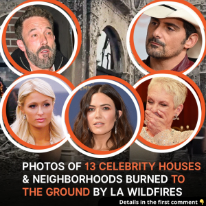 Photos of 13 Celebrity Houses & Neighborhoods Burned to the Ground by LA Wildfires