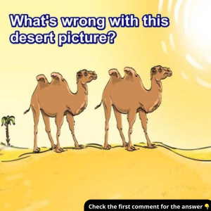 What’s Missing from This Desert Landscape? Spot the Mistake and Comment Your Answer!