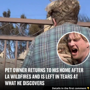 Pet owner returns to his home after LA wildfires and is left in tears at what he discovers