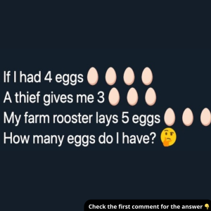 How Many Eggs? The Riddle That’s Breaking the Internet