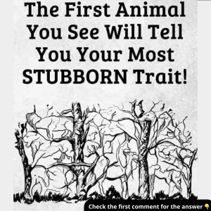 Which Animal Did You See First? Find Out What It Reveals About Your Stubborn Side!