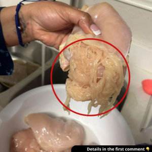 Mom shares disgusting photo of chicken breast that shreds into spaghetti