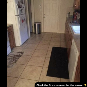 Can you find the large dog hiding in this kitchen?