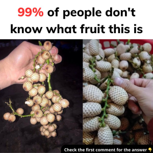 99% of people don’t know what fruit this is