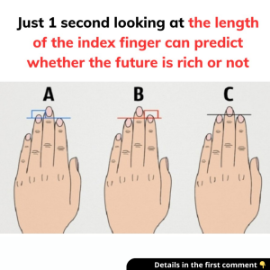 Looking at the length of the index finger