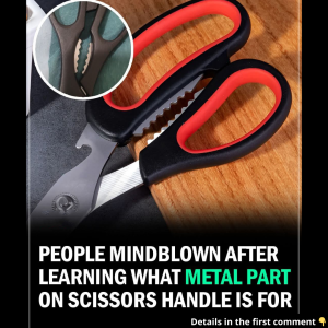 Surprising purpose of the metal teeth between scissors