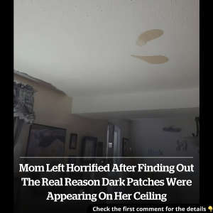 Mom Horrified After Uncovering the Disturbing Truth Behind Mysterious Dark Patches on Her Ceiling