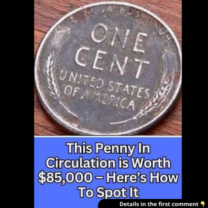 Here’s How To Spot It – This Penny In Circulation is Worth ,000