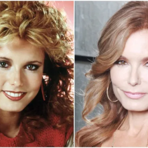 Tracey E. Bregman: The Iconic Journey of Lauren Fenmore on The Young and the Restless