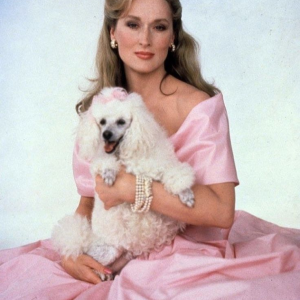 Meryl Streep: The Extraordinary Journey of Hollywood’s Greatest Actress