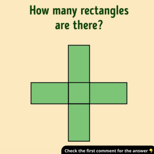 Can You Solve This Puzzle in Seconds? Count the Rectangles and Explain Your Answer!