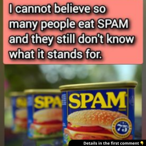 SPAM: What does it stand for, and what are its ingredients? SPAM: What does it stand for, and what are its ingredients?