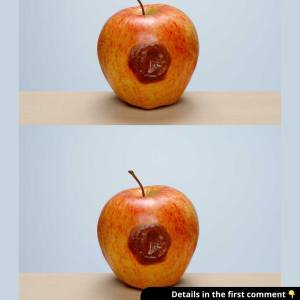 My mother-in-law will eat an apple when it’s bruised like this. I don’t think it’s safe, but she disagrees. How do I tell if something is too bruised to eat and unsafe? My mother-in-law will eat an apple when it’s bruised like this. I don’t think it’s safe, but she disagrees. How do I tell if something is too bruised to eat and unsafe?