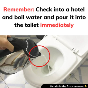 Check into a hotel and boil water and pour it into the toilet immediately Check into a hotel and boil water and pour it into the toilet immediately