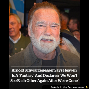Arnold Schwarzenegger believes Heaven is a ‘fantasy’, says: ‘We won’t see each other again after we’re gone’ Arnold Schwarzenegger believes Heaven is a ‘fantasy’, says: ‘We won’t see each other again after we’re gone’