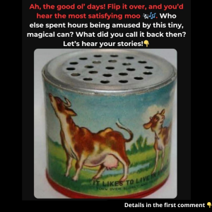 Do You Remember This Toy? If You’re Old Enough, You’ll Recognize It, So Let’s Explore the Fun History Behind It! Do You Remember This Toy? If You’re Old Enough, You’ll Recognize It, So Let’s Explore the Fun History Behind It!